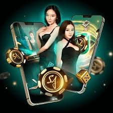 6z com